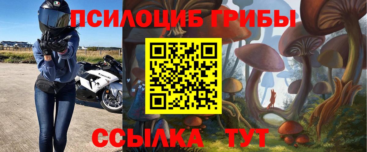 Псилоцибиновые грибы GOLDEN TEACHER  Вход с VPN  Кашира 