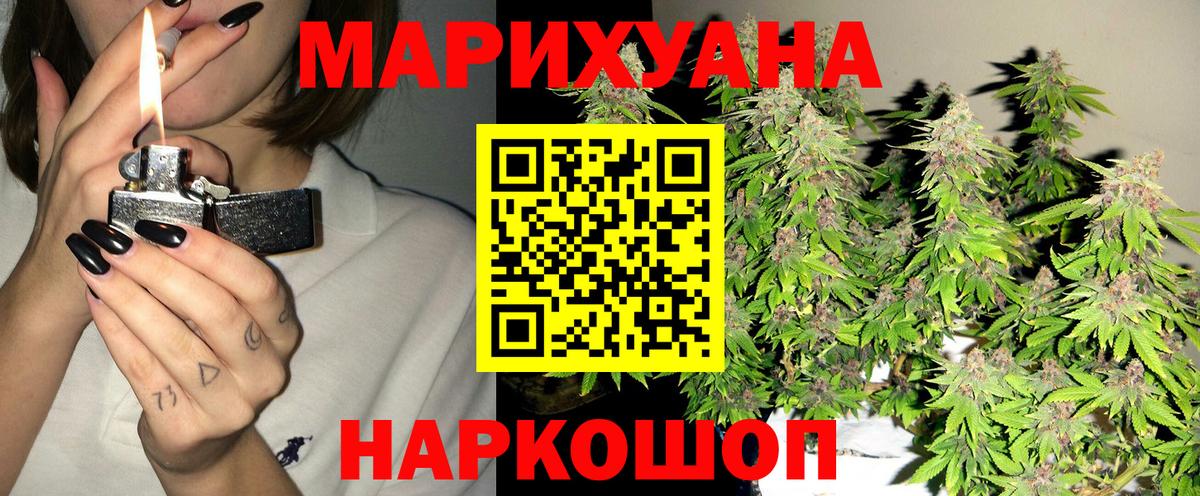Канабис сатива Кашира